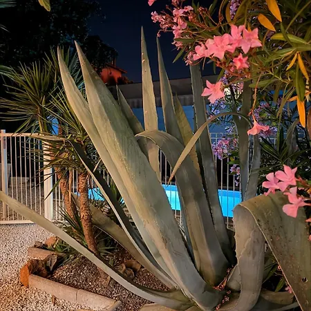 Bas De Villa, 6 Personnes, Piscine, Proche Plages Hébergement de vacances *